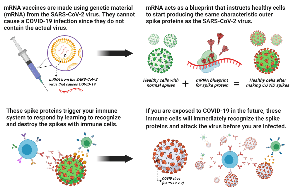 what-to-know-about-covid-19-vaccines-rmi